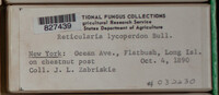 Image Associated With the Occurence